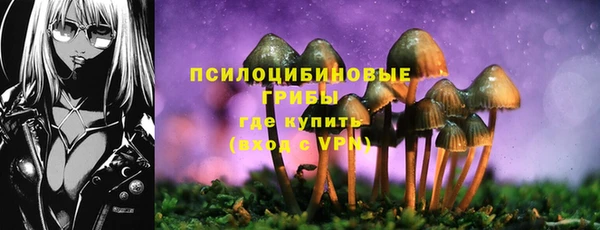крисы Балахна