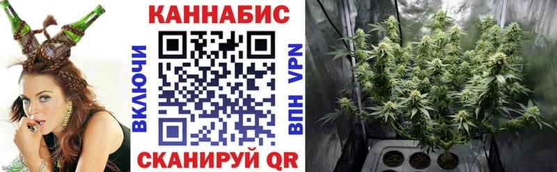 Каннабис сатива Опочка